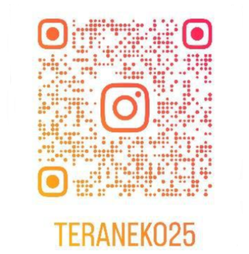 圓福寺ねこのおうちインスタグラム
